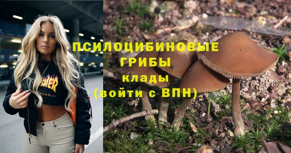 бутират Ладушкин