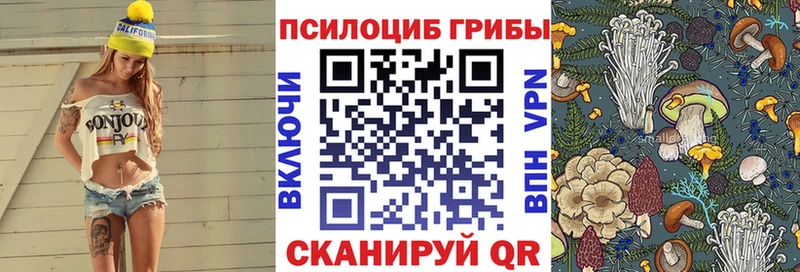 Псилоцибиновые грибы мицелий  купить наркотик  Приволжский 